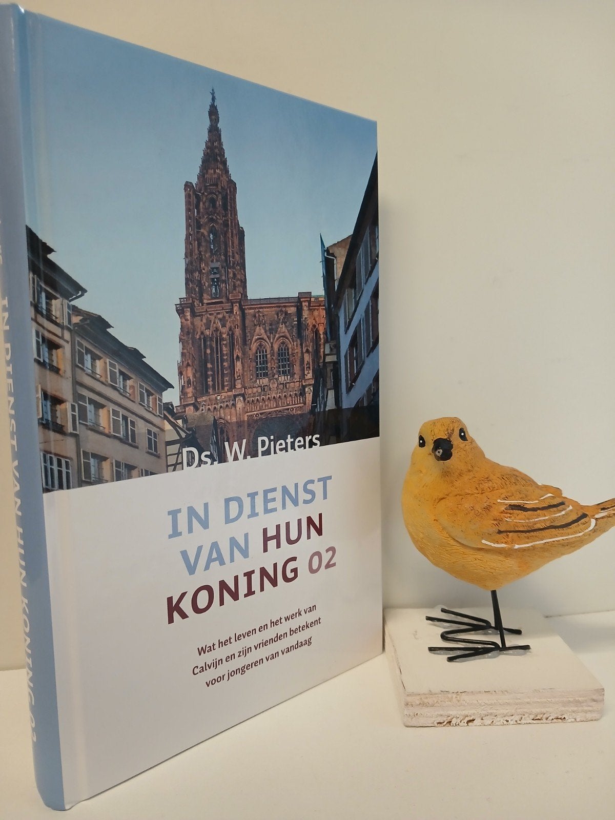 Pieters, Ds. W.; In dienst van hun Koning deel 2, Ophalen of Verzenden, Gelezen, Christendom | Protestants