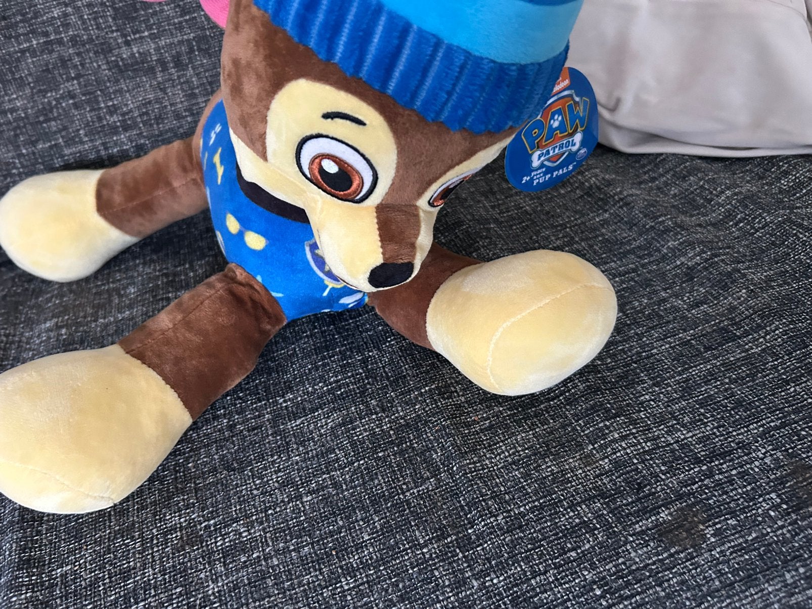 Nieuwe grote knuffel Paw patrol, Kinderen en Baby's, Speelgoed | Knuffels en Pluche, Ophalen of Verzenden, Nieuw
