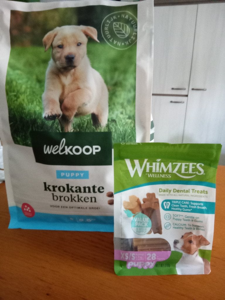 Puppy brokjes (welkoop) gratis ophalen, Ophalen, Hond
