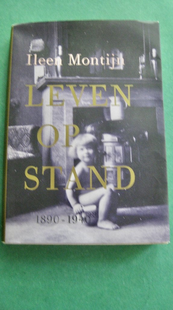 Ileen Montijn – Leven op stand 1890-1940, Ophalen of Verzenden, 20e eeuw of later, Zo goed als nieuw