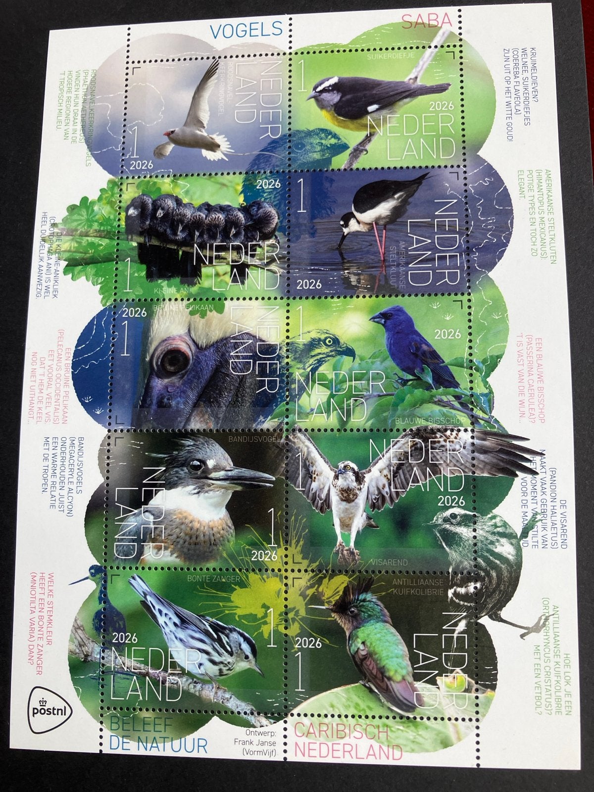 Zelfklevende postzegels Caribisch Nederland Vogels 2026, Verzenden, Postfris, Dier of Natuur