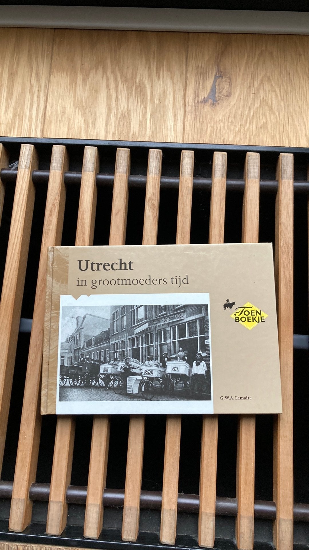 Utrecht in grootmoeders tijd, Ophalen of Verzenden, Zo goed als nieuw