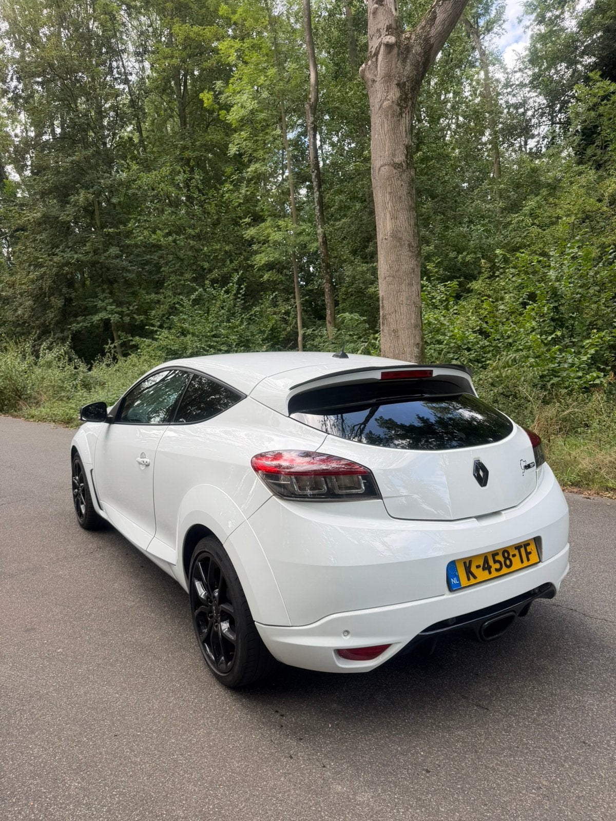 Foto 5 van Renault Mégane 3 RS 2.0 16V Turbo Coupe STAGE 2