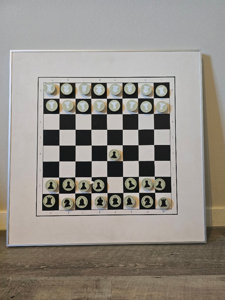 magnetisch schaakbord, Hobby en Vrije tijd, Gezelschapsspellen | Bordspellen, Ophalen, Gebruikt