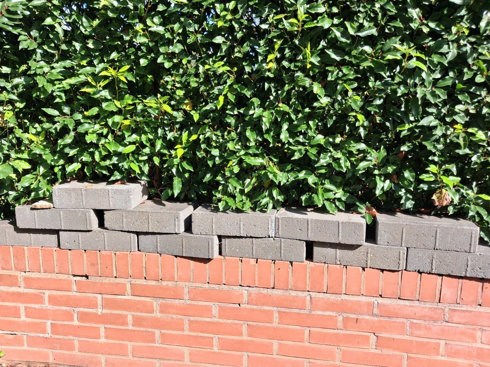 stenen, Tuin en Terras, Ophalen, Gebruikt, Beton, Terrastegels