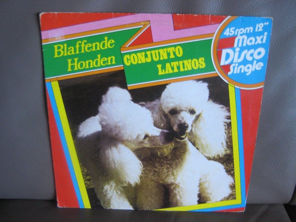 Conjunto Latinos – Blaffende Honden, LP, Ophalen of Verzenden, Zo goed als nieuw, 12 inch