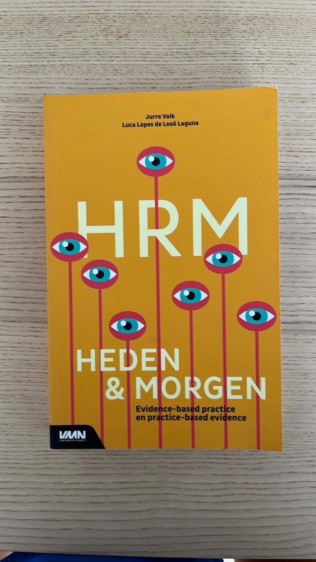 Luca Lopes de Leao Laguna - HRM Heden & Morgen, Ophalen of Verzenden, Zo goed als nieuw, Luca Lopes de Leao Laguna; Jurre Valk