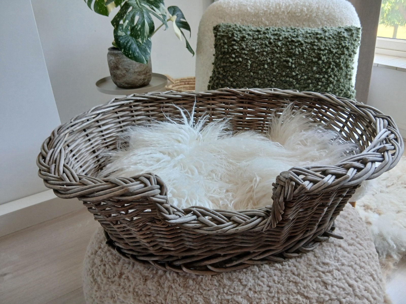 Prachtige rotan honden/katten mand voor maar €7,50, Ophalen of Verzenden, Zo goed als nieuw, Riet
