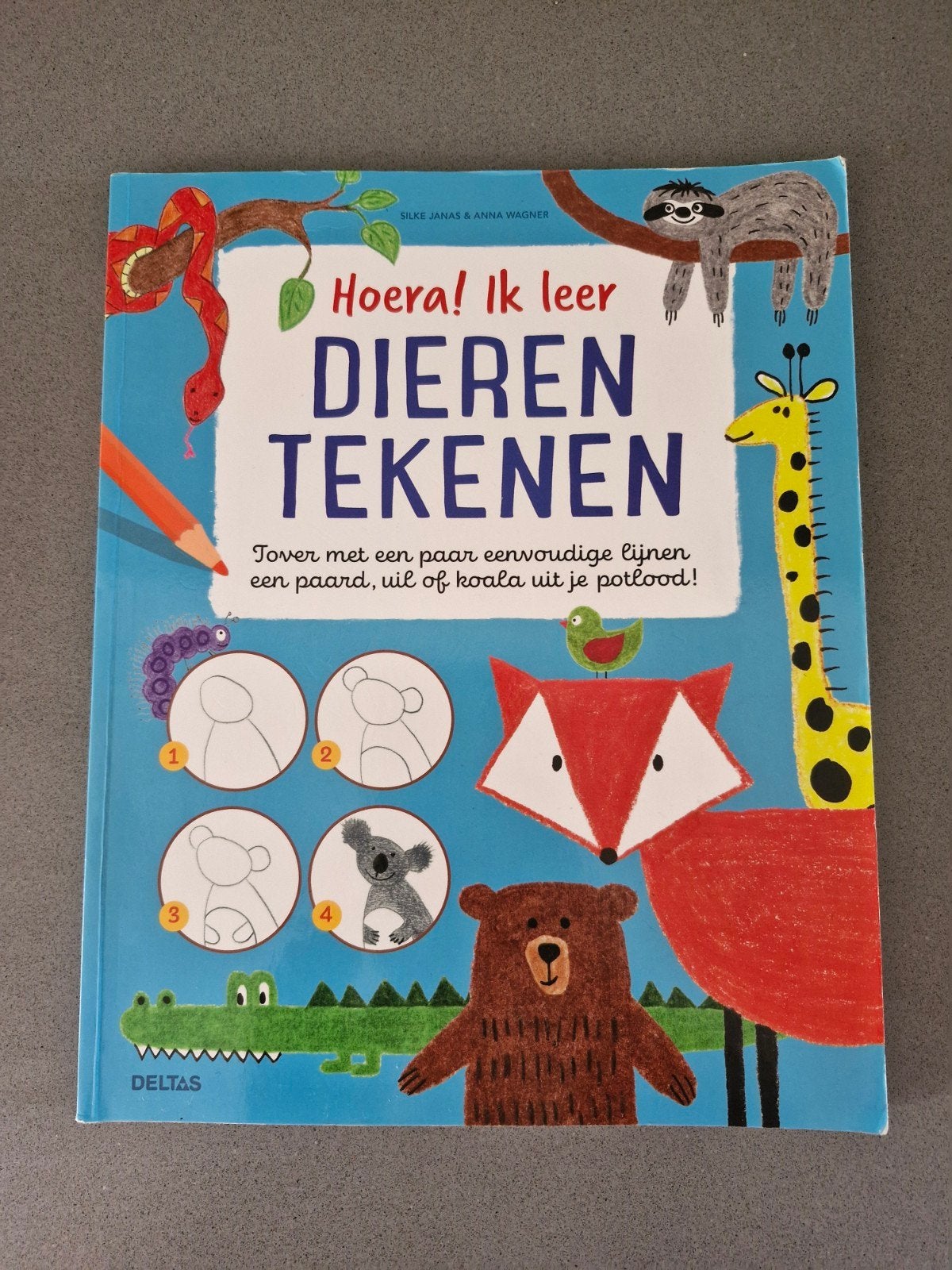 Hoera! Ik leer dieren tekenen, Ophalen of Verzenden, Gebruikt, Knutselen