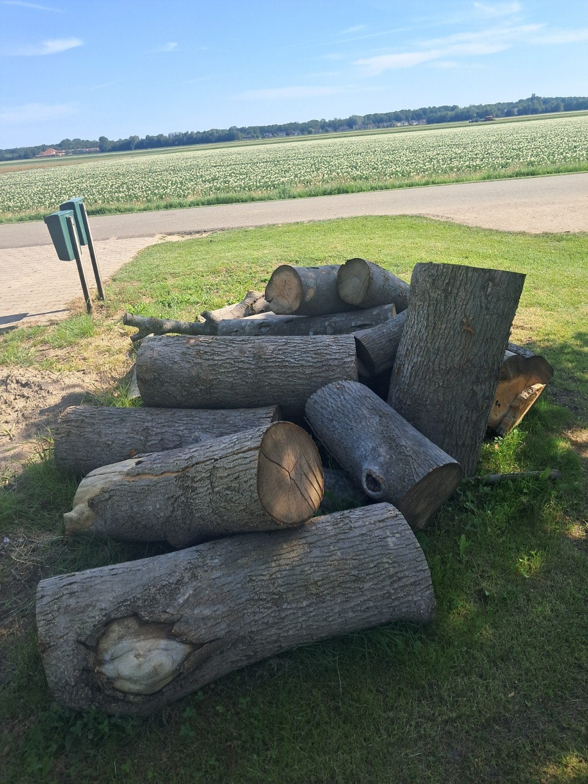 partij  boomstammen essen hout haardhout, Minder dan 3 m³, Ophalen, Essenhout, Stammen