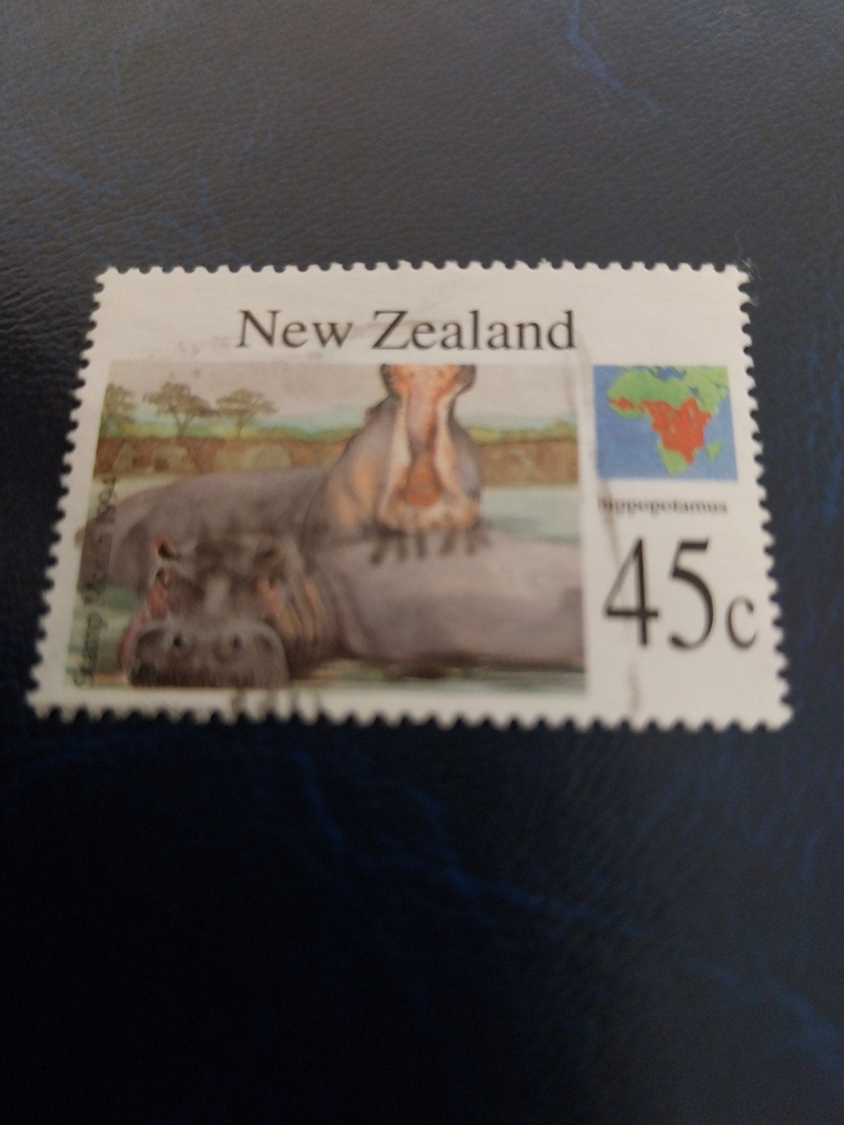 NZ nijlpaard, Ophalen of Verzenden