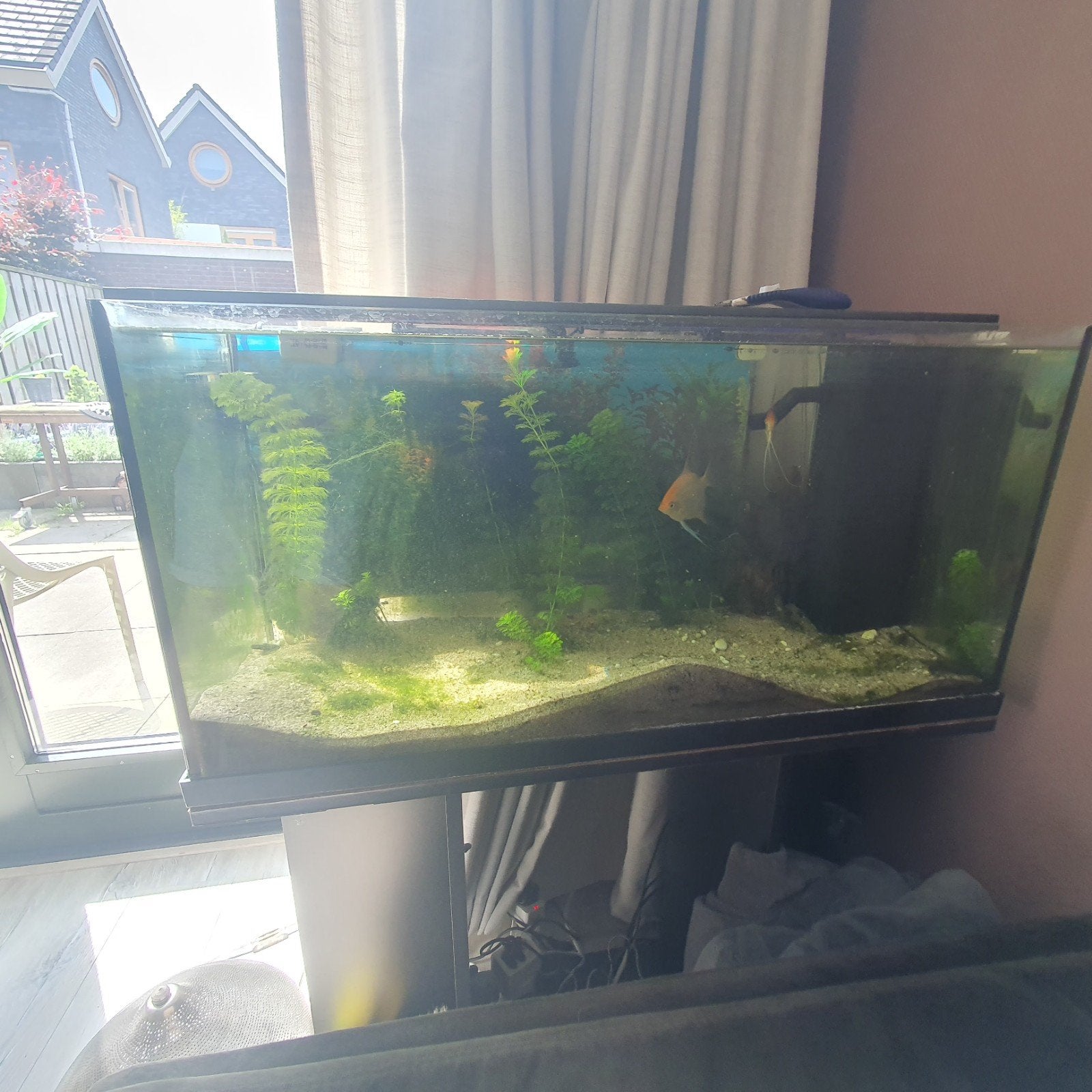 Jewel aquarium 130ltr 80cm compleet, Ophalen, Zo goed als nieuw, Gevuld zoetwateraquarium