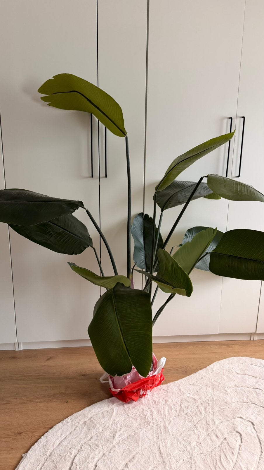 Strelitzia kunstplant, Huis en Inrichting, Kamerplanten, Ophalen, Volle zon, 150 tot 200 cm