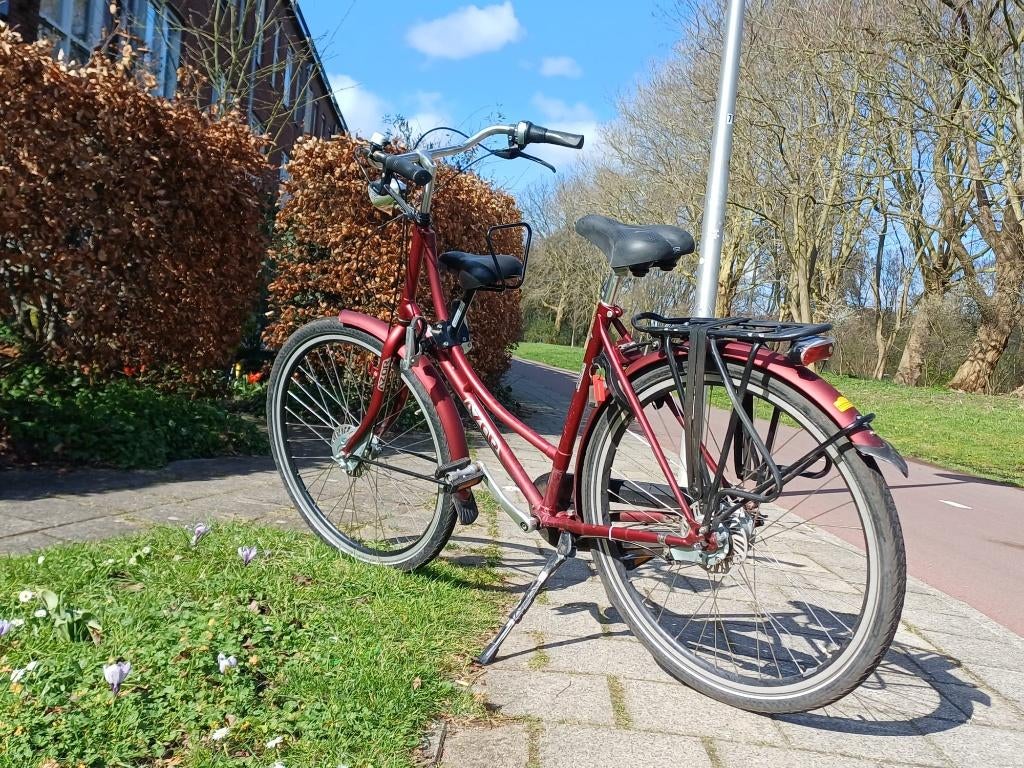 moederfiets Azor Ameland metallic rood, Fietsen en Brommers, Fietsen | Dames | Damesfietsen, Versnellingen, Ophalen, Overige merken