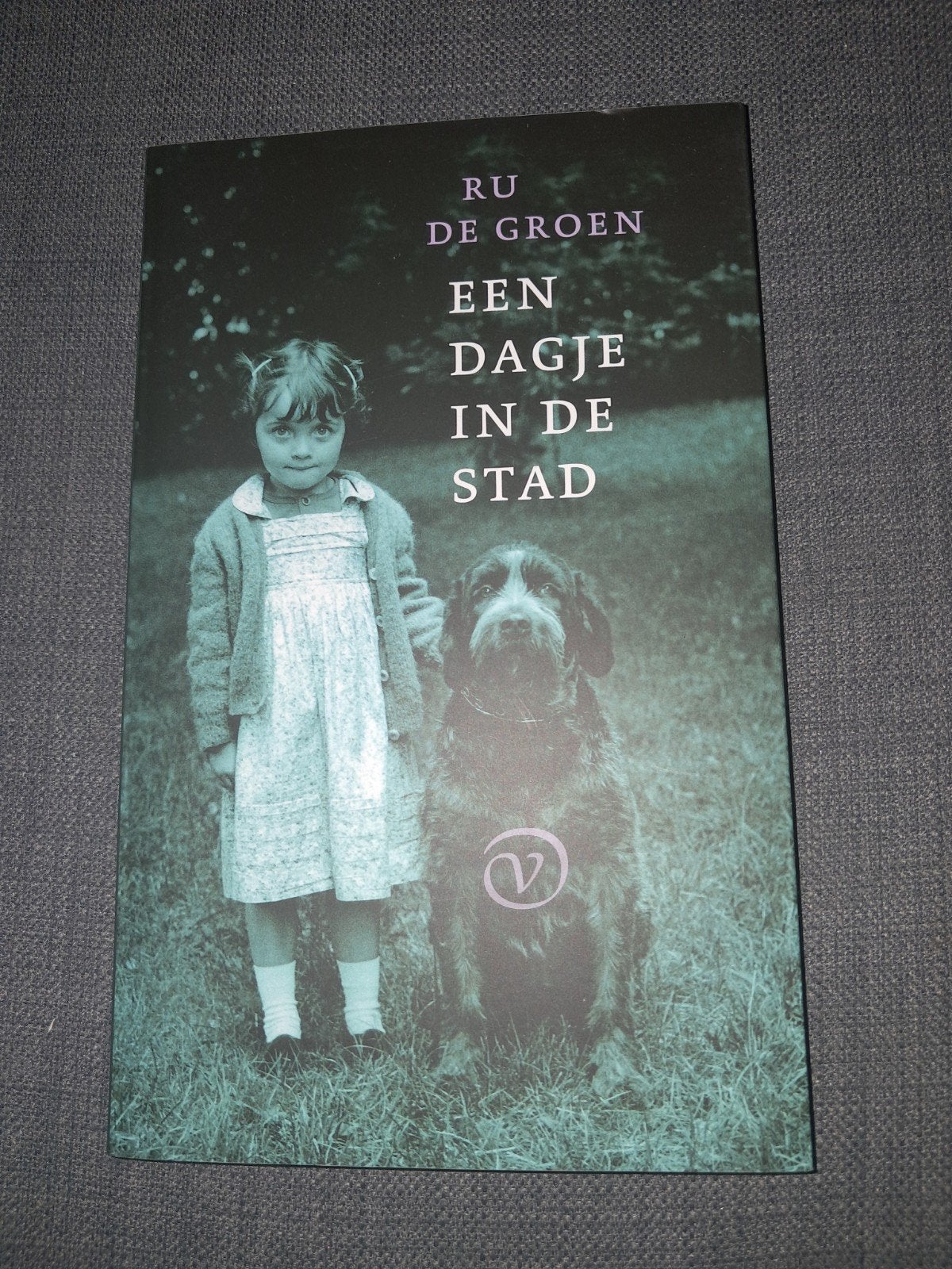 Een Dagje In De Stad - Ru de Groen (Boek), Ophalen of Verzenden, Zo goed als nieuw, Ru de Groen, Nederland