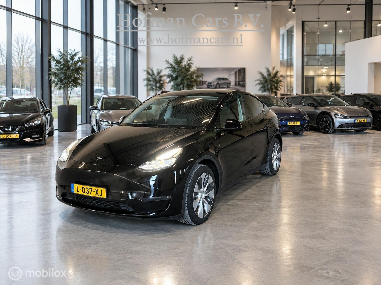 Tesla Model Y Long Range AWD 75kWh | SOH 91% MOBA | Accugara, Auto's, Automaat, Gebruikt, Zwart, Zwart