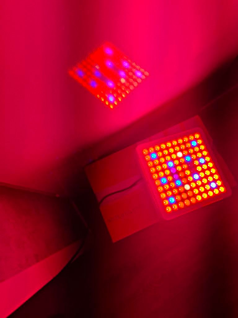 LED Kweeklamp voor plantengroei, Tuin en Terras, Kweekspullen, Gebruikt, Kweeklamp, Ophalen of Verzenden