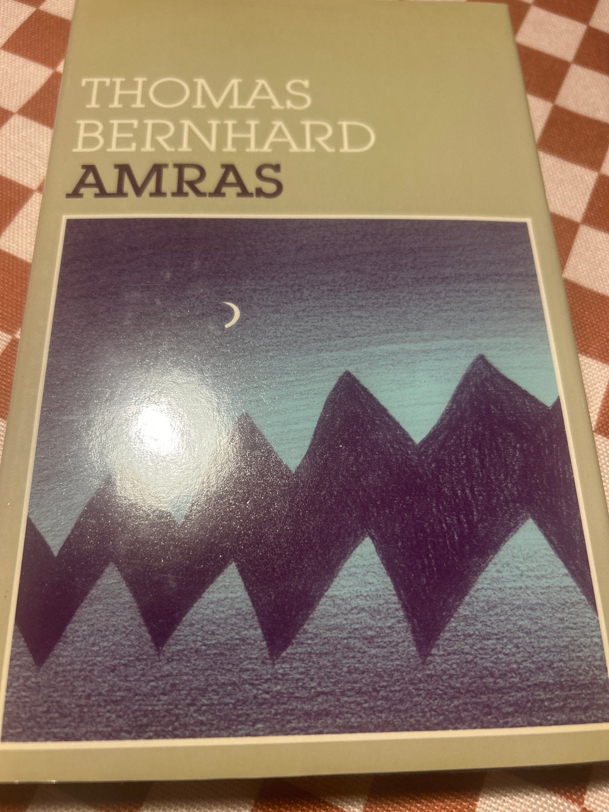 Amras - Thomas Bernhard (Boek), Ophalen of Verzenden, Zo goed als nieuw, Europa overig