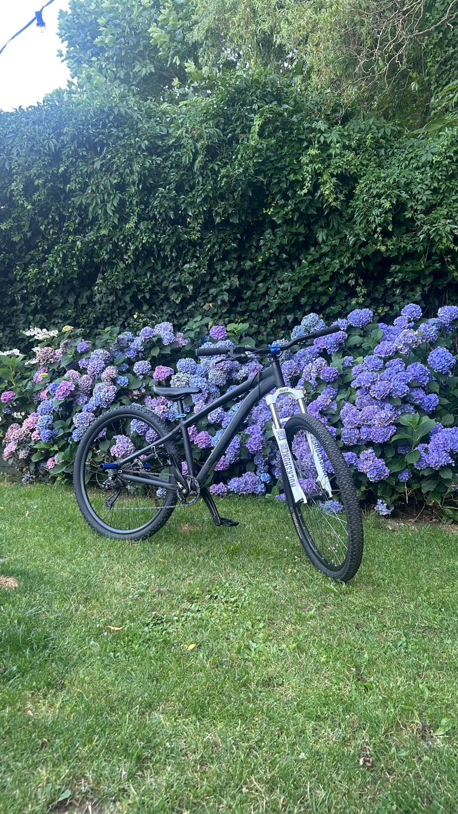 Custom wheelie bike (mountainbike), 55 cm of meer, Ophalen, Zo goed als nieuw, Meer dan 20 versnellingen
