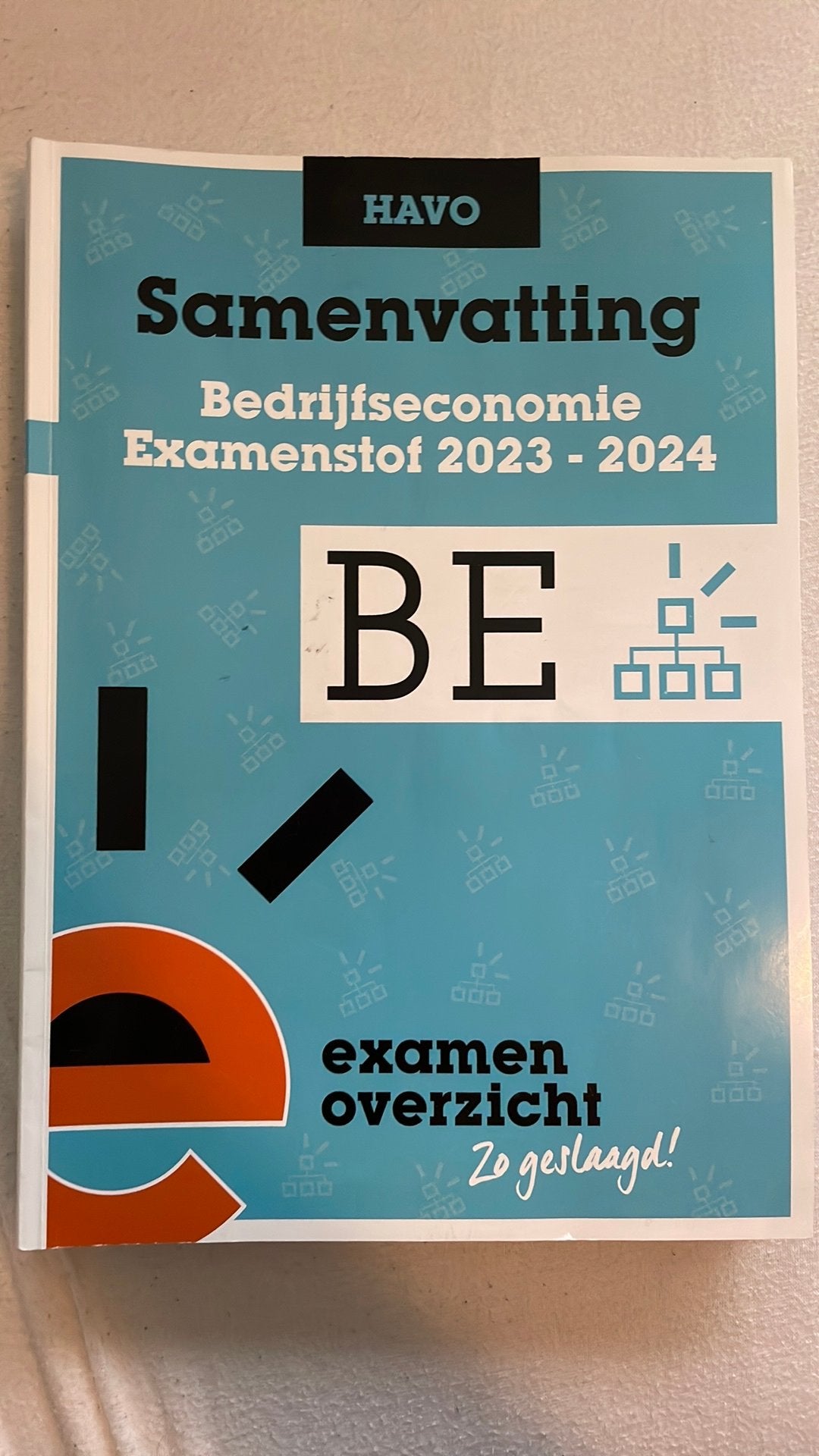 ExamenOverzicht - Samenvatting Examenstof Economie HAVO, Ophalen of Verzenden, Nederlands, Overige niveaus, ExamenOverzicht
