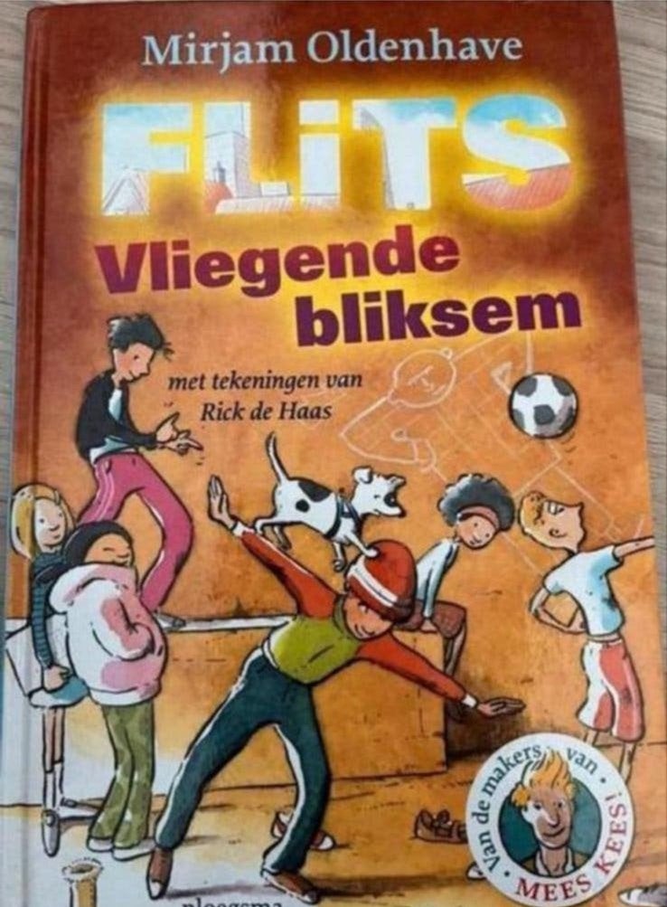 FLITS VLIEGENDE BLIKSEM, Ophalen of Verzenden, Gelezen