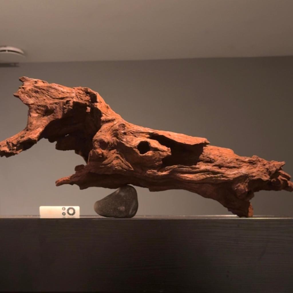 Gefossiliseerde Kienhout Boomstam, Versteend Hout Decoratie, Dieren en Toebehoren, Ophalen of Verzenden, Plant(en), Steen of Hout