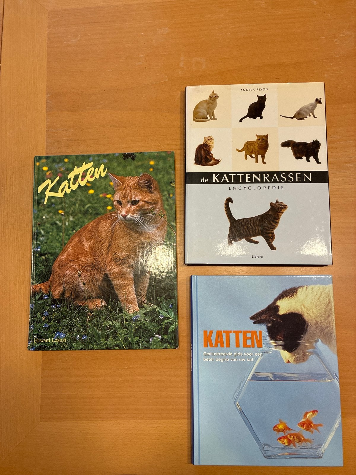 Kattenboeken: Encyclopedie, Rassen en Gids (3 stuks), Boeken, Ophalen of Verzenden, Gelezen, Katten