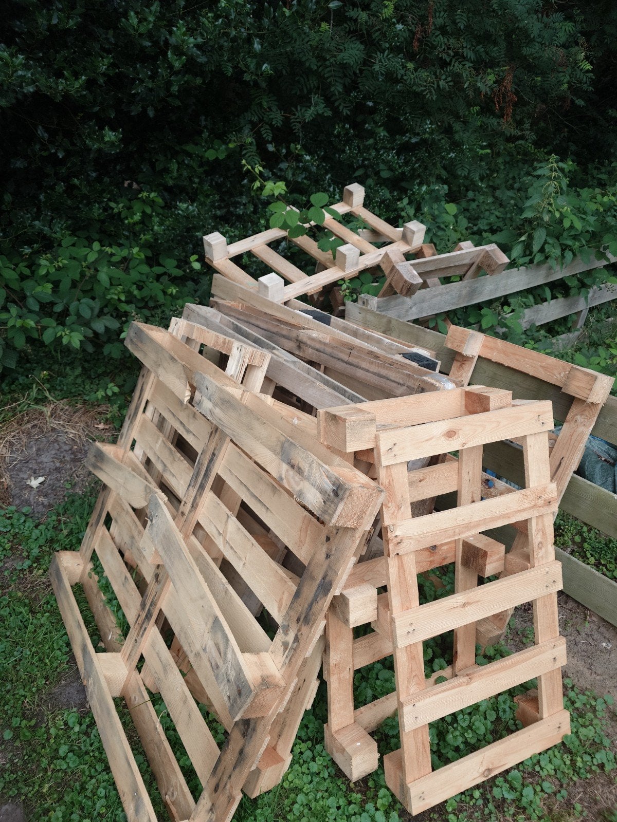 Pallets gratis afhalen, Ophalen, Gebruikt, 50 mm of meer, Pallet