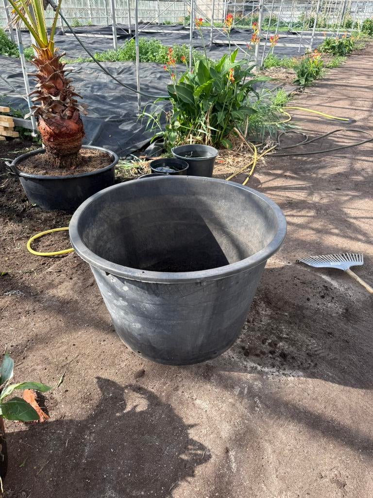 Palmboom pot , boom pot , olea pot, Kunststof, Rond, Ophalen of Verzenden, Zo goed als nieuw