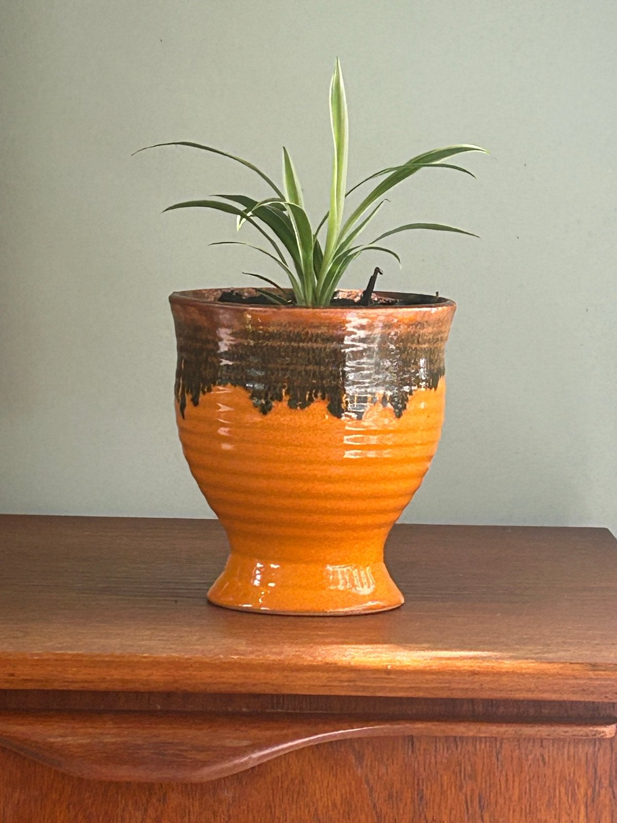 Vintage Bloempotje met Graslelie Plant - 14 cm hoog, Tuin en Terras, Ophalen, Overige materialen, Gebruikt, Rond