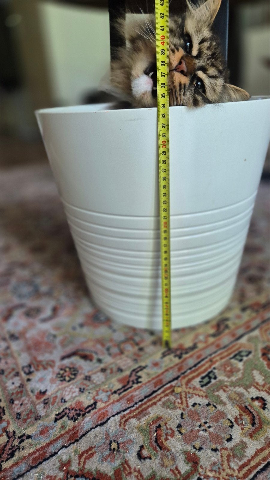 Grote witte IKEA bloempot met reliëf - 34,5cm diameter, Tuin en Terras, Bloempotten, Rond, Binnen, Zo goed als nieuw, Minder dan 40 cm