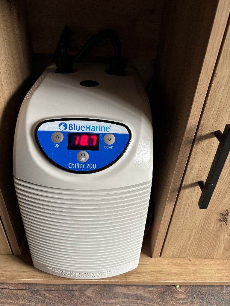 BlueMarine Chiller 200, Inclusief slangen, Overige typen, Ophalen of Verzenden, Zo goed als nieuw
