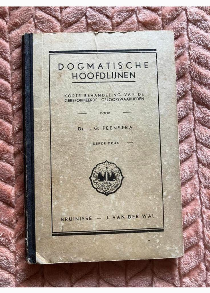 Dogmatische hoofdlijnen, Ophalen of Verzenden, Gelezen, Christendom | Protestants