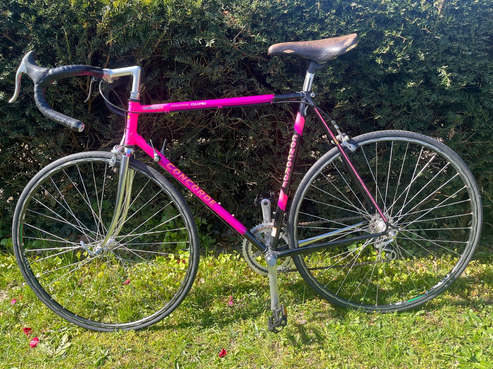 Prachtige Vintage Concorde Colombo racefiets, 28 inch, 10 tot 15 versnellingen, Velgrem, Zo goed als nieuw