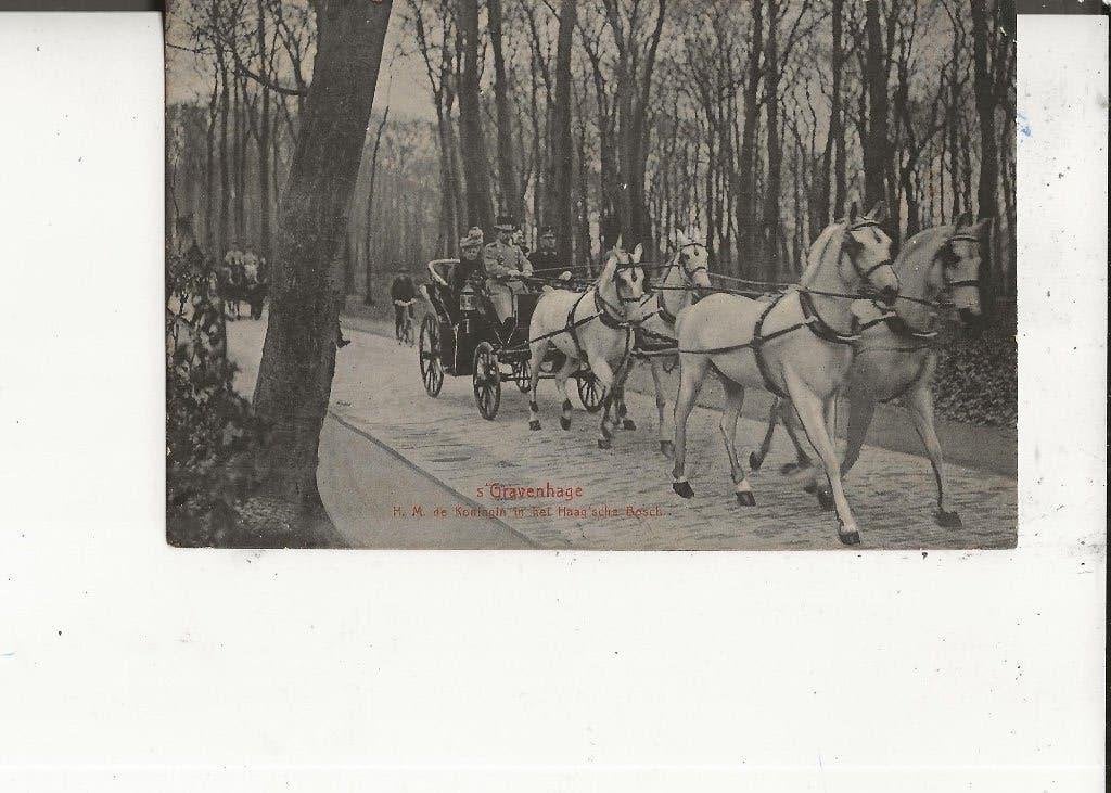 Den Haag HM de Koningin in het Haagsche Bosch met vierspan, Ophalen of Verzenden, Voor 1920, Ongelopen, Zuid-Holland