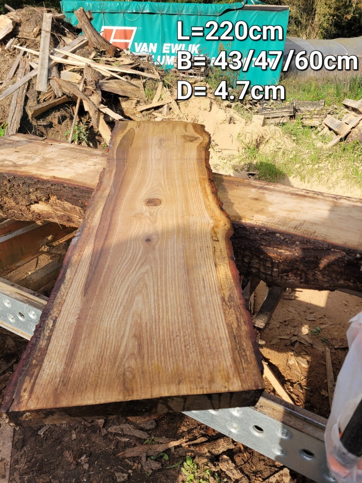 schaaldeel boomplank wandplank barblad EIKEN, Ophalen of Verzenden, Nieuw, 180 tot 250 cm, Planken