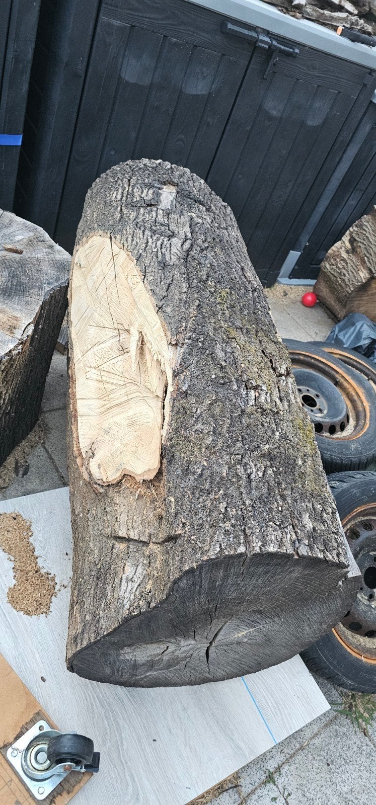 eiken boomstam., Minder dan 3 m³, Ophalen, Eikenhout, Stammen
