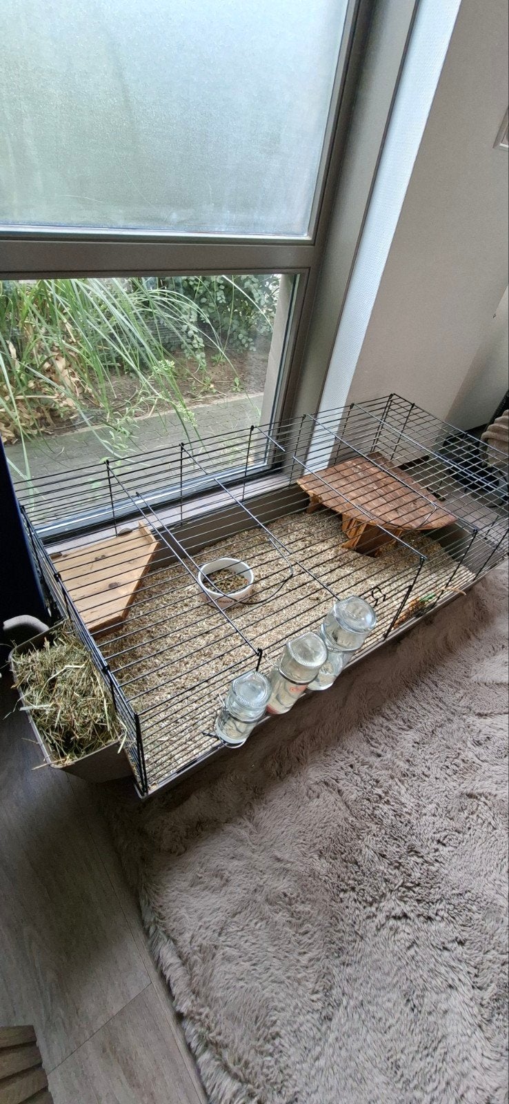 cavia hok, Gebruikt, Hok, Cavia, Ophalen