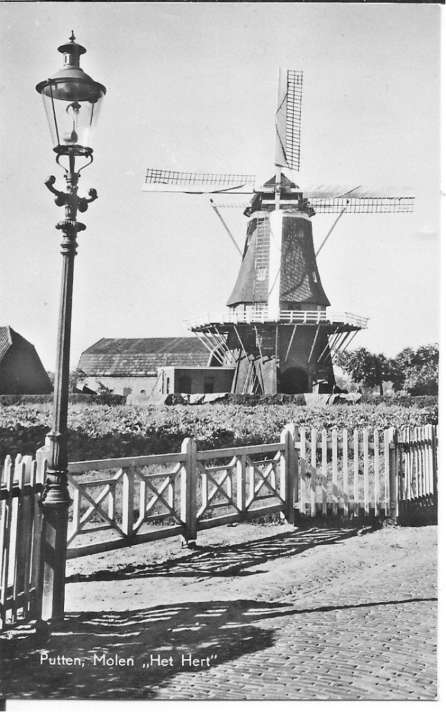 Oude ansichtkaart Putten, Molen "Het Hert", Ophalen of Verzenden, Voor 1920, Ongelopen, Gelderland