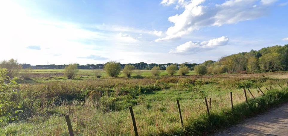 Weiland Roermond/asselt, Dieren en Toebehoren