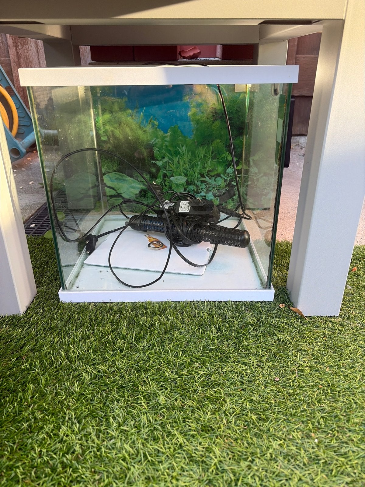 Vis aquarium, Ophalen of Verzenden, App-bediening, Gebruikt, Filter