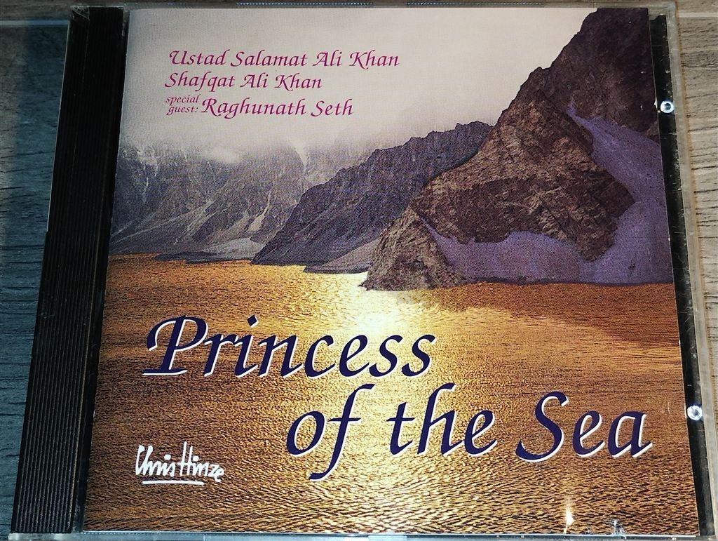Chris Hinze - Princess Of The Sea, Ophalen of Verzenden, Zo goed als nieuw