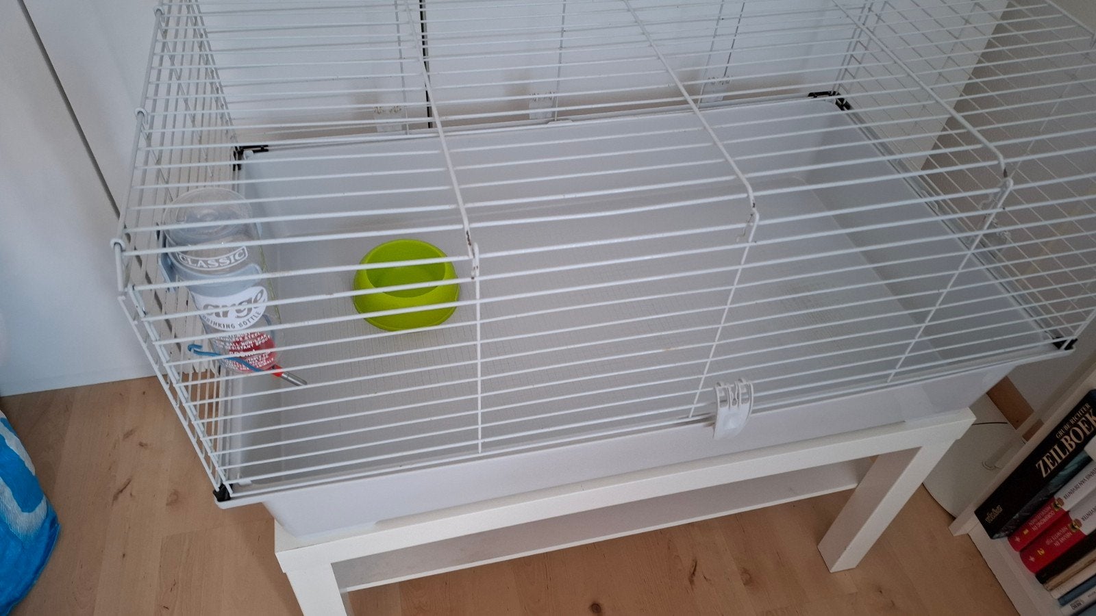 caviakooi / konijnenhok, Dieren en Toebehoren, Kooi, Cavia, 75 tot 110 cm, Ophalen