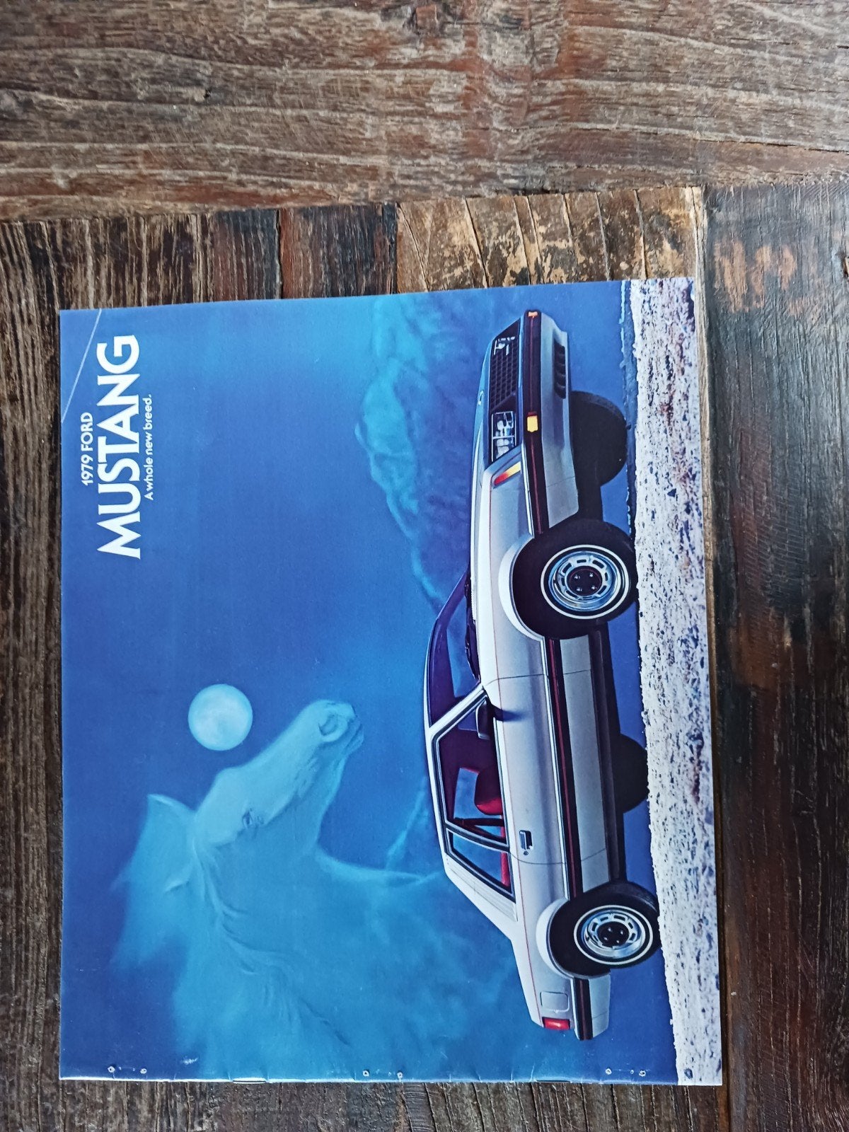 Ford Mustang folder 1979, Ophalen of Verzenden, Gelezen, Ford