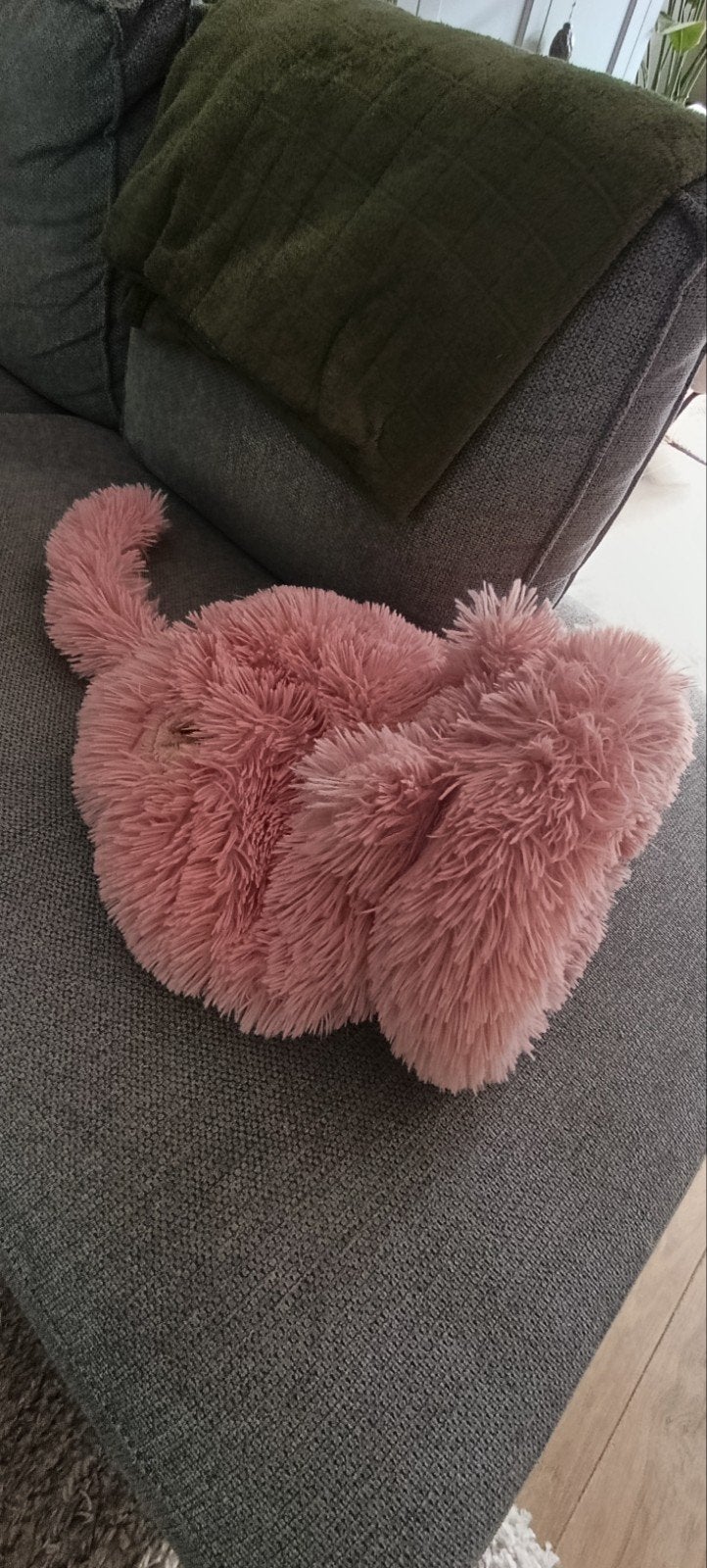 katten slaapzak/mand, Ophalen