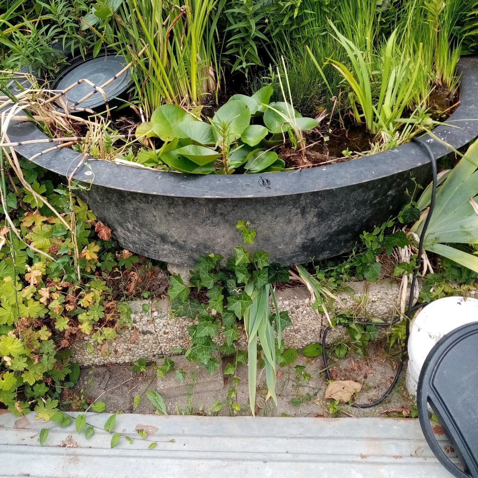 Vijverbakken, Ophalen, Rond, Hout, 60 cm of meer