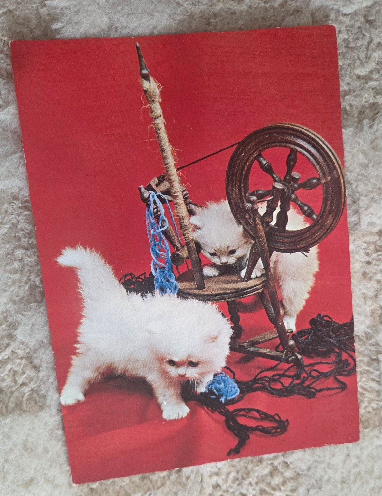 Vintage Ansichtkaart: Schattige Kittens bij Spinnenwiel, Verzenden, 1960 tot 1980, Gelopen, Hond of Kat