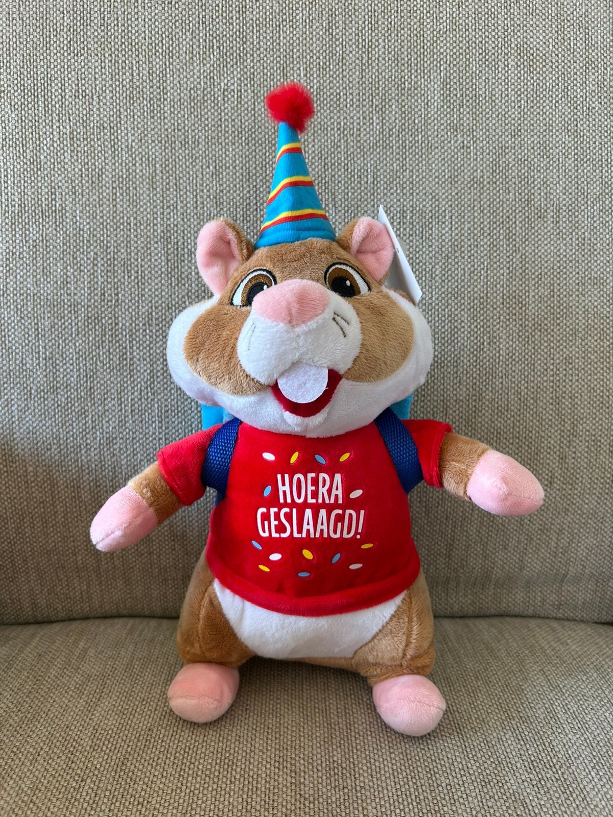 Hoera Geslaagd Hamster Albert Heijn/ AH, Kinderen en Baby's, Albert Heijn, Overige typen, Nieuw, Ophalen of Verzenden