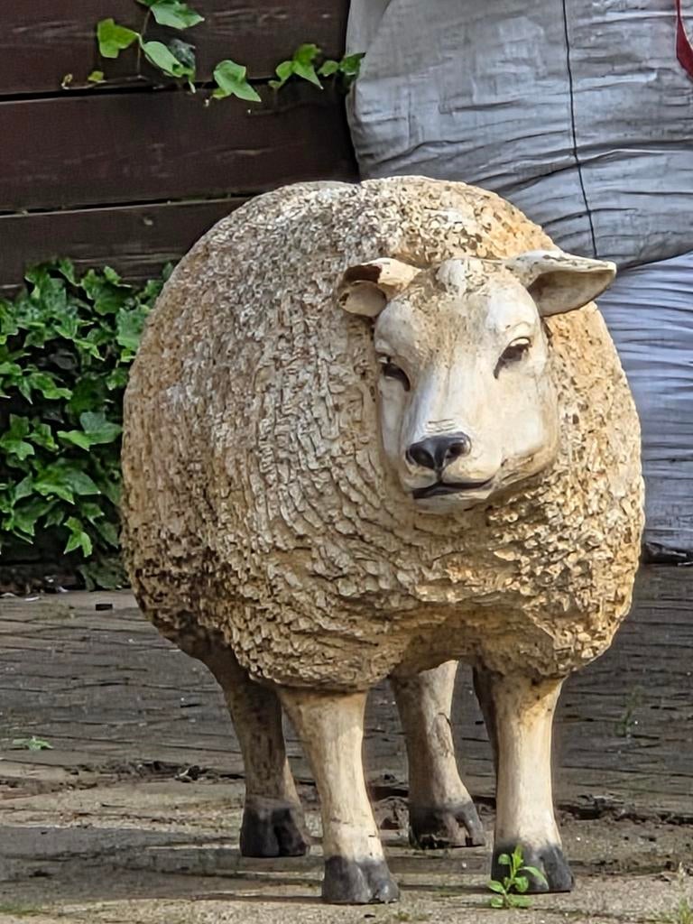 Gezocht: Polyester tuinbeelden van dieren (opknappers), Tuin en Terras, Tuinbeelden, Gebruikt, Dierenbeeld, Kunststof, Ophalen