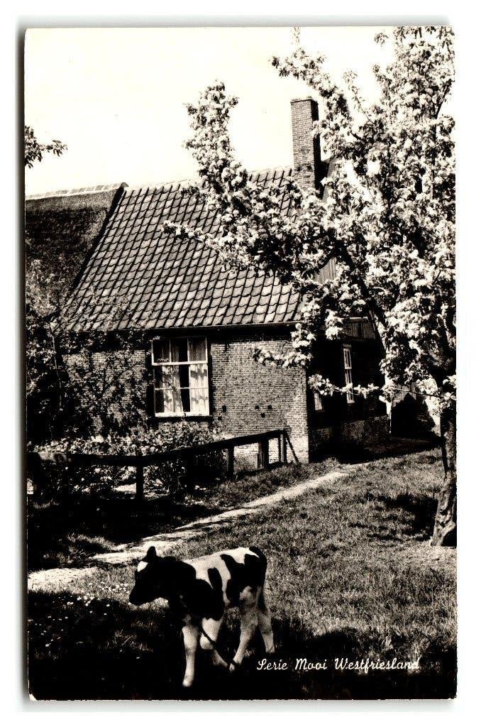 Westfriesland, Serie Mooi Westfriesland, Verzenden, 1960 tot 1980, Ongelopen, Noord-Holland